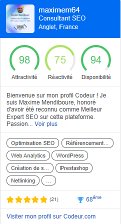 Maxime Mendiboure expert seo