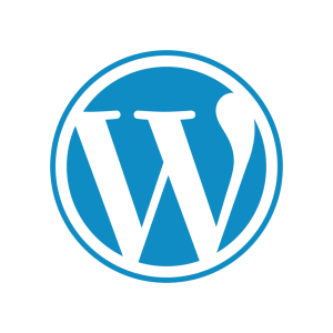 seo WordPress