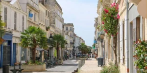 expert seo rochefort