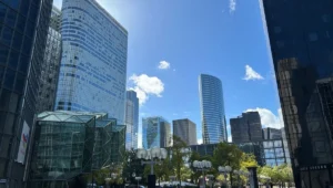 Expert SEO Courbevoie